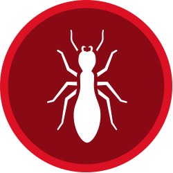 pest control essex