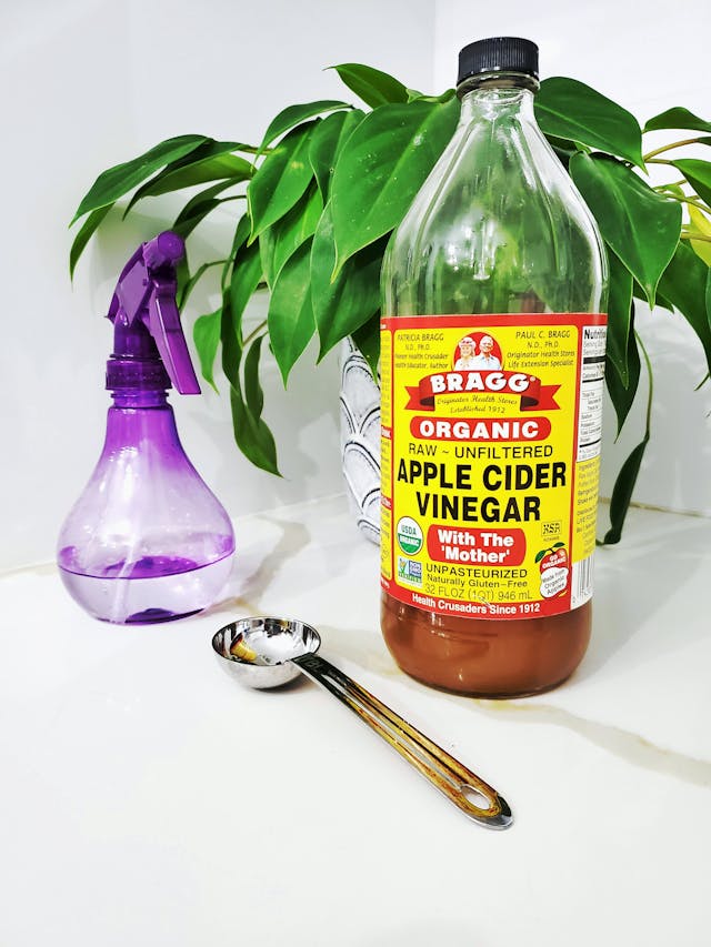 Spray Bottle and Apple Cider Vinegar Beside Indoor Plant
