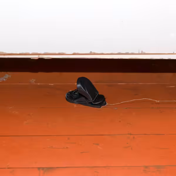 Mouse trap under a clothing chest