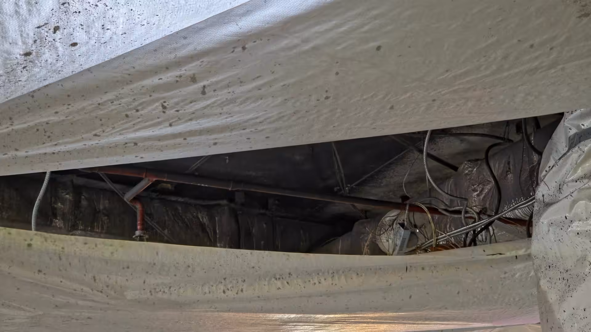 Broken vapor barrier. Pests in crawl space.