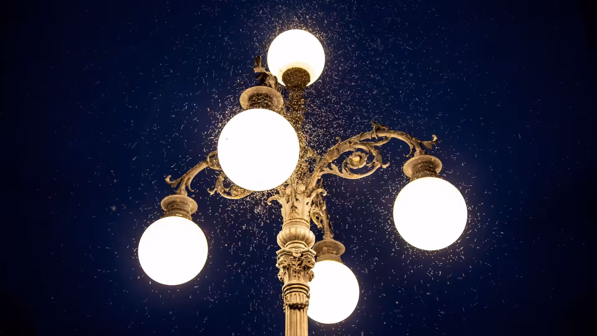 Are mosquitoes attracted to lights